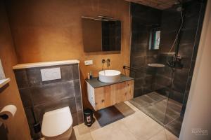 a bathroom with a toilet and a sink and a shower at # A Mont Nos'Hôtes in Malmedy