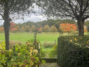 een tuin met een boog in het midden van een veld bij In der Natur gelegene Wohnung mit Weitblick in Hüthum