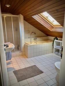 een badkamer met een wastafel, een douche en een toilet bij In der Natur gelegene Wohnung mit Weitblick in Hüthum