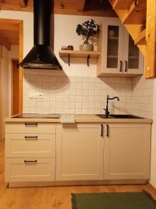 een keuken met witte kasten en een wastafel bij Wellness apartmaji Mimi in Tabor