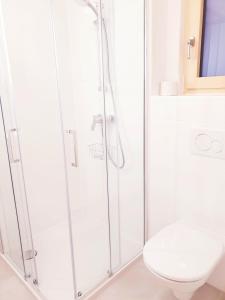 a bathroom with a shower and a toilet at Appartement Fiffinjo in Piesendorf