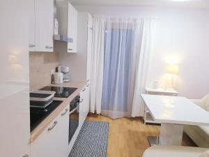 Kuchyň nebo kuchyňský kout v ubytování Appartement Fiffinjo