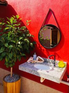 a bathroom with a sink with a mirror and a potted plant at Manitu Flat Canoa Quebrada in Canoa Quebrada