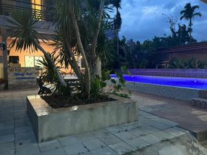 un palmier dans un planteur à côté d'une piscine dans l'établissement Rung Inn Homestay, à Ranong