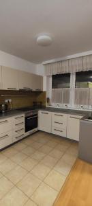 a large kitchen with white cabinets and appliances at Frymburk Jana in Frymburk