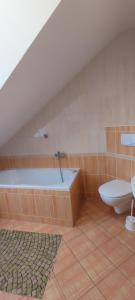 a bathroom with a bath tub and a toilet at Frymburk Jana in Frymburk