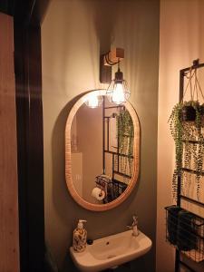 een badkamer met een spiegel en een wastafel bij SWANder in Damme