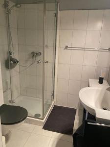 a bathroom with a shower and a sink at Die HarzSchrittMacher - Bergmann 24 in Bad Harzburg