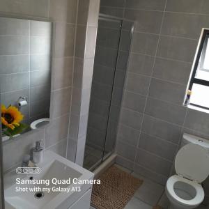 a bathroom with a shower with a toilet and a sink at The Blyde Penthouse in Pretoria
