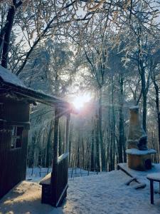 a winter scene with the sun shining through the trees at HOTEL GALERIA PEZINSKA BABA in Pezinok