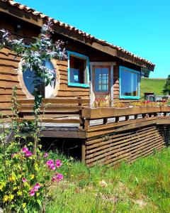 a log cabin with blue windows in a field at PUESTA DE SOL in Cobquecura