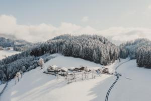 Chalet Hochthron v zimě
