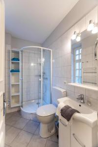 a bathroom with a shower and a toilet and a sink at Villa Friedericia in Wyk auf Föhr
