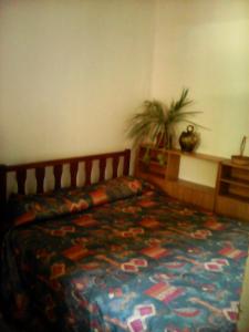 a bedroom with a bed and a potted plant at HOSTEL ATG in Ciudad Lujan de Cuyo