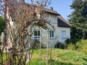 Una casa blanca con un árbol delante. en Au Domaine Cru en Savignies