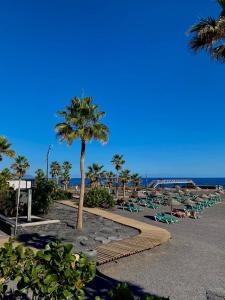 a beach with chairs and a palm tree and the ocean at Los Menceyes Yaral in Candelaria