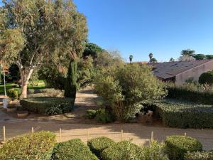 a garden with bushes and trees and a building at Spacieux F3 Port Leucate in Leucate