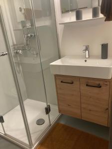 een badkamer met een douche en een wastafel bij Rosi`s in Maria Alm am Steinernen Meer