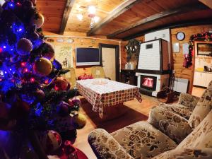 a living room with a christmas tree and a fireplace at Agroturystyka Husinka pl in Husinka