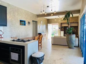 Kuchyň nebo kuchyňský kout v ubytování Casa 4 quartos 2 Lofts Piscina