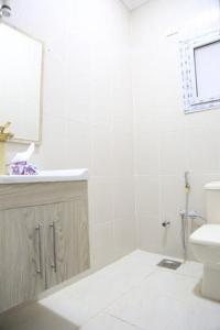 bagno con lavandino, servizi igienici e specchio di دريم لاند السادس من أكتوبر a Il Cairo