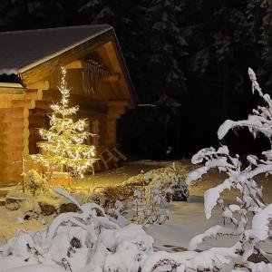 Ferienhaus - Chalet - Lechtraum during the winter