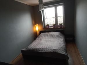 a small bedroom with a bed and a window at Apartament 24 in Płock