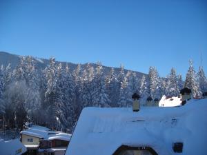 a snow covered roof of a house with snow covered trees at Borovets Gardens Chalet Flat in Borovets