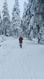 a person with an orange umbrella walking through the snow at Villa Veronika in Lądek-Zdrój