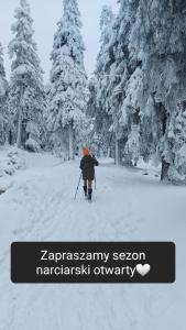 une personne à skis dans la neige avec des arbres dans l'établissement Villa Veronika, à Lądek-Zdrój