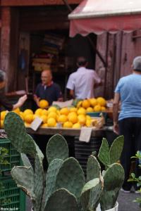 une table remplie d’oranges sur un marché avec un cactus dans l'établissement Casa Bona Furtuna, à Catane