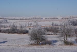 two trees in a field with snow on the ground at Dom z widokiem - Wilkanów 184 in Wilkanów