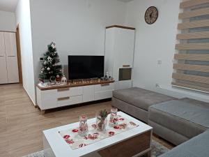 TV tai viihdekeskus majoituspaikassa Apartman Meseceva dolina