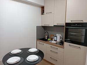 Majoituspaikan Apartman Meseceva dolina keittiö tai keittotila