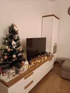 TV tai viihdekeskus majoituspaikassa Apartman Meseceva dolina