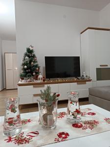 TV tai viihdekeskus majoituspaikassa Apartman Meseceva dolina