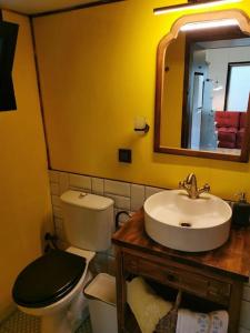 a bathroom with a sink and a toilet and a mirror at Tiny House in Garden with Sea View in Karamusal