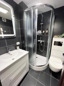 a bathroom with a shower and a toilet and a sink at Studio Enis in Poiana Brasov