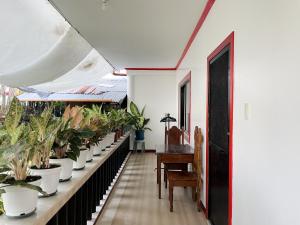 Fotografie z fotogalerie ubytování Lara's Guesthouse Siargao v destinaci General Luna