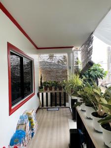 Zahrada ubytování Lara's Guesthouse Siargao