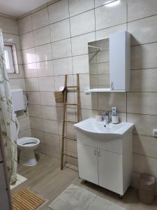 ein Badezimmer mit einem Waschbecken, einem WC und einem Spiegel in der Unterkunft Irinin Vidikovac in Rudnik
