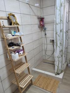 eine Dusche mit einer Leiter und einem Duschvorhang im Bad in der Unterkunft Irinin Vidikovac in Rudnik