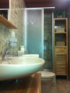 La salle de bains est pourvue d'un lavabo, de toilettes et d'une douche. dans l'établissement Appartement Ursula Eck, à Bergisch Gladbach