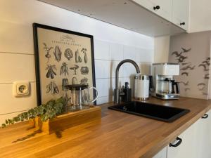 a kitchen with a counter top with a sink at Ferienwohnung Augenblick in Kurort Altenberg
