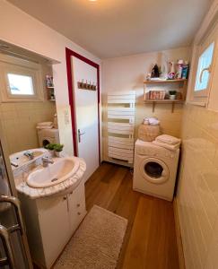 a bathroom with a sink and a washing machine at Appartement 2pieces Hyper Centre Les Houches, proche Chamonix in Les Houches