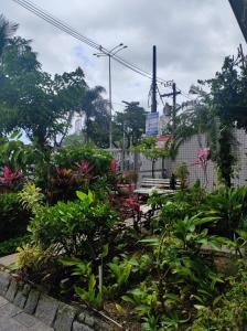 un jardín de plantas y flores en una ciudad en Lindo apto vista lateral do mar Itararé São Vicente en São Vicente