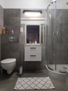 a bathroom with a shower and a toilet and a sink at Apartment DAISY, balcony, 5 os, Down Town in Kraków