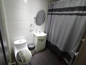 y baño con aseo, lavabo y ducha. en Hostal Santa, en Concepción