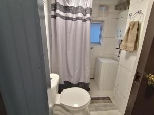 Hostal Santa في كونثبثيون: حمام صغير مع مرحاض ودش
