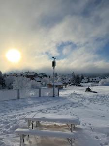 Fotografia z galérie ubytovania NEW Nelis Apartment Klínovec v destinácii Loučná pod Klínovcem